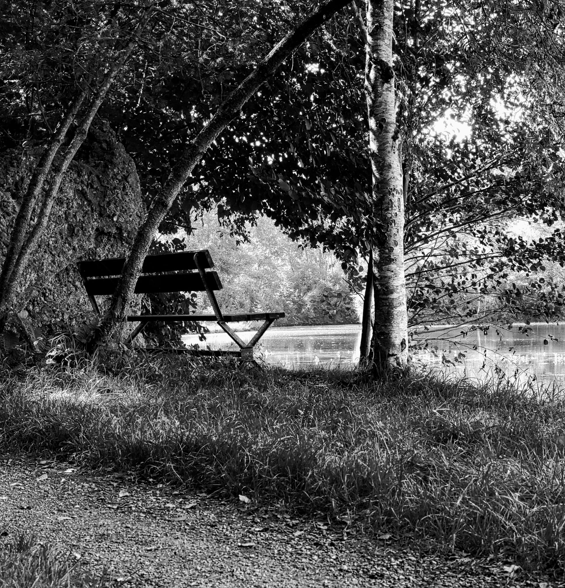 Parkbank am See — Schwarz-Weiß